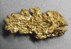 Pépite d' or détail