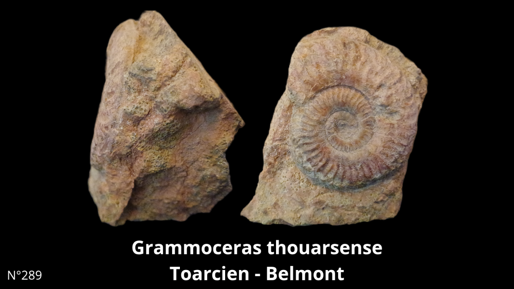 BT 058 collectiob_20250812_220056_0006.png