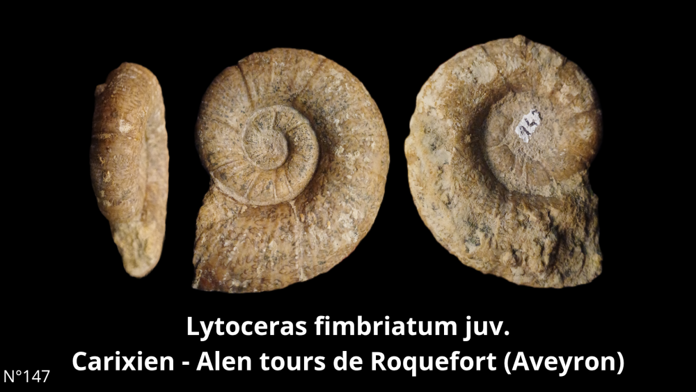 BT 059 collection_20250812_220914_0000.png