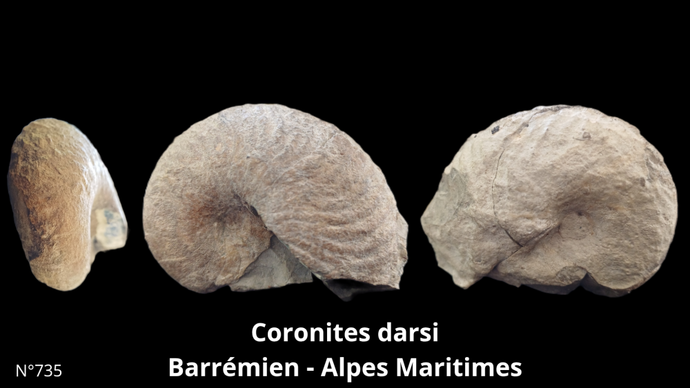 BT 059 collection_20250812_220914_0001.png