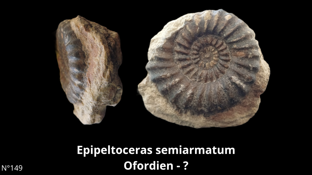 BT 059 collection_20250812_220915_0002.png