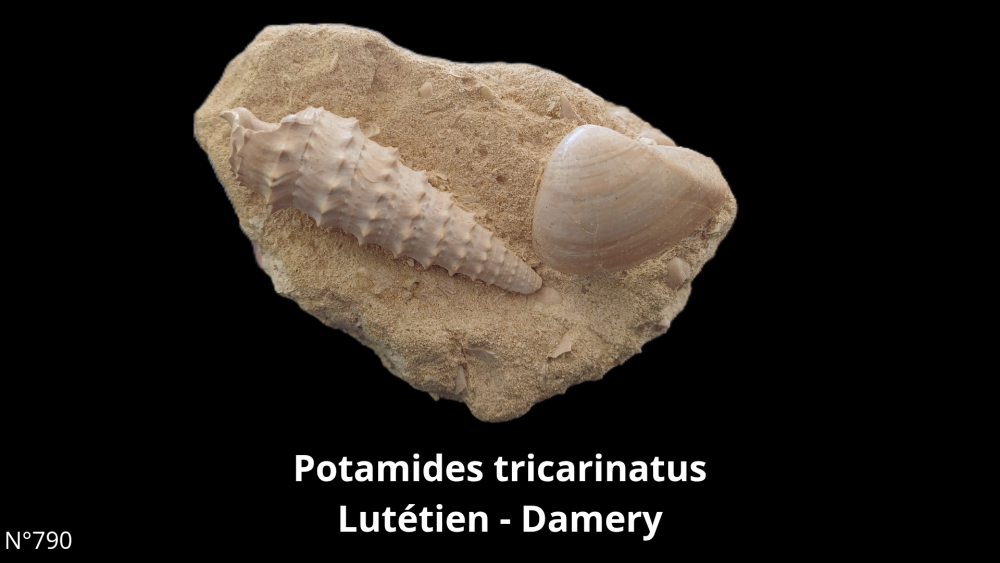 BT 059 collection_20250812_220915_0004.png