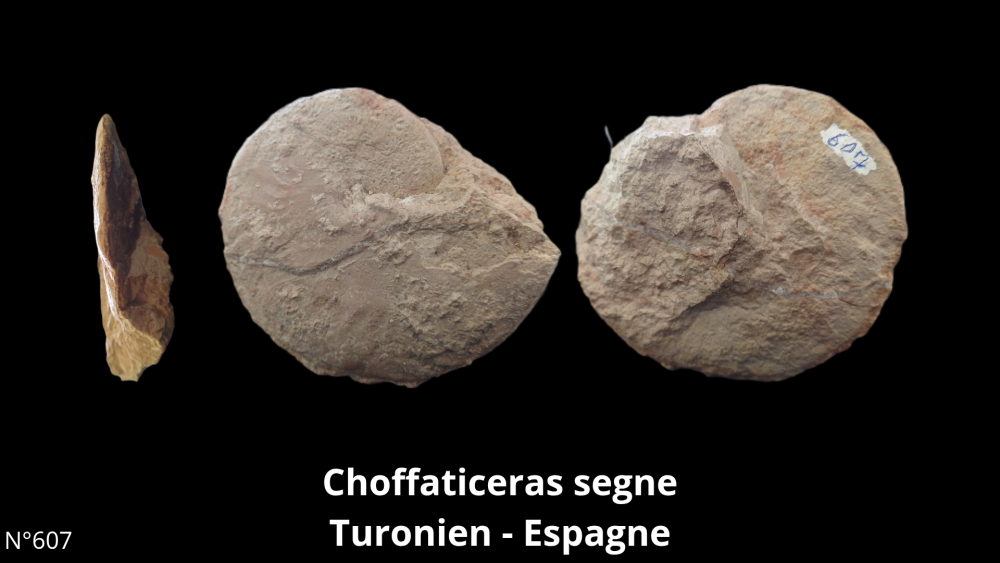 BT 059 collection_20250812_220915_0005.png