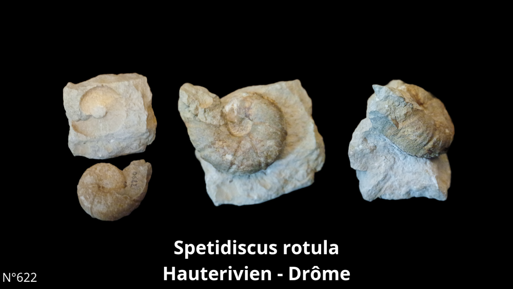 BT 059 collection_20250812_220916_0007.png