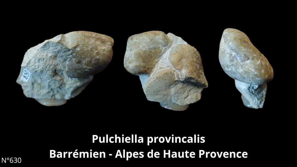 BT 059 collection_20250812_220916_0009.png