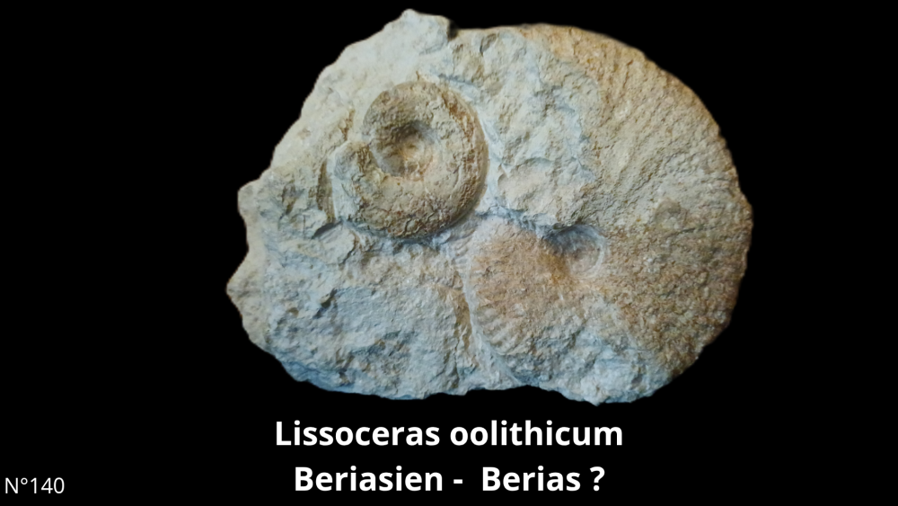 BT 059 collection_20250812_220916_0012.png