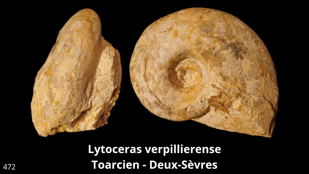 Boite 053 COL_20250812_224123_0001.png