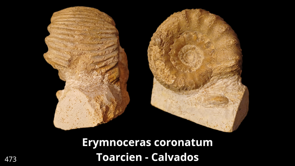 Boite 053 COL_20250812_224123_0002.png