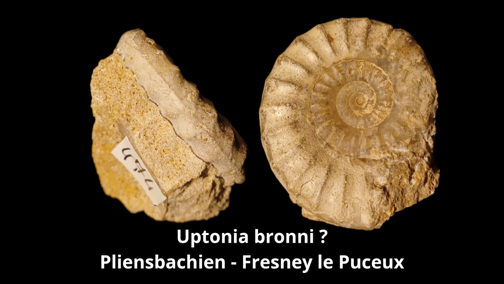 Boite 053 COL_20250812_224123_0003.png