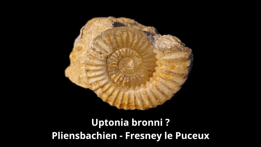 Boite 053 COL_20250812_224123_0004.png