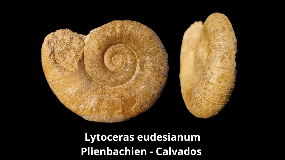 Boite 053 COL_20250812_224123_0005.png