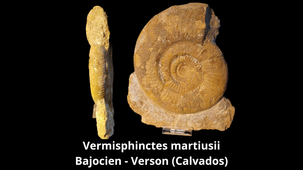 Boite 053 COL_20250812_224123_0007.png