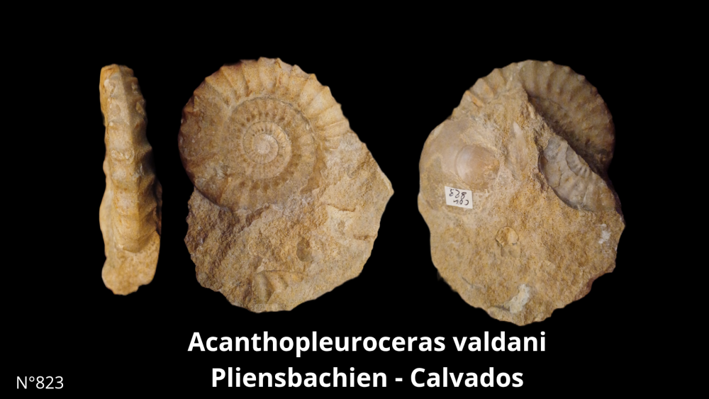 Boite col CN6_20250812_212131_0000.png