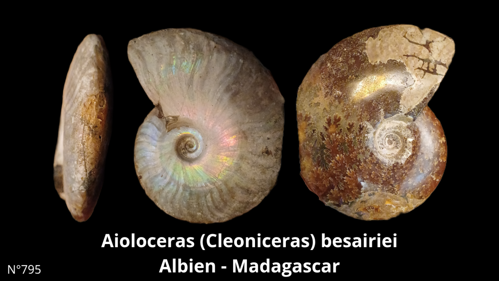 Boite col CN6_20250812_212131_0001.png