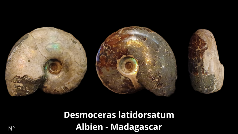 Boite col CN6_20250812_212132_0002.png