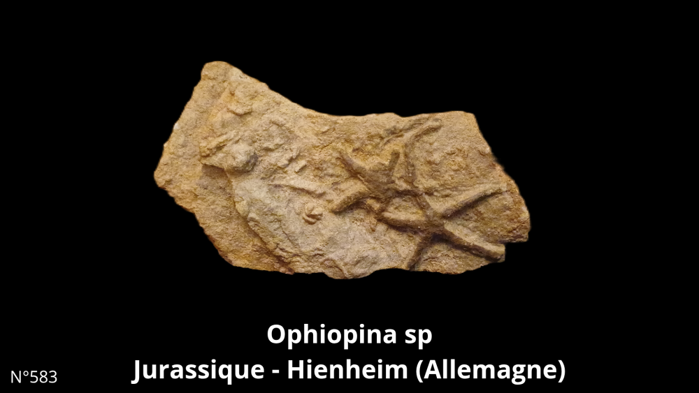 Boite col CN6_20250812_212132_0003.png