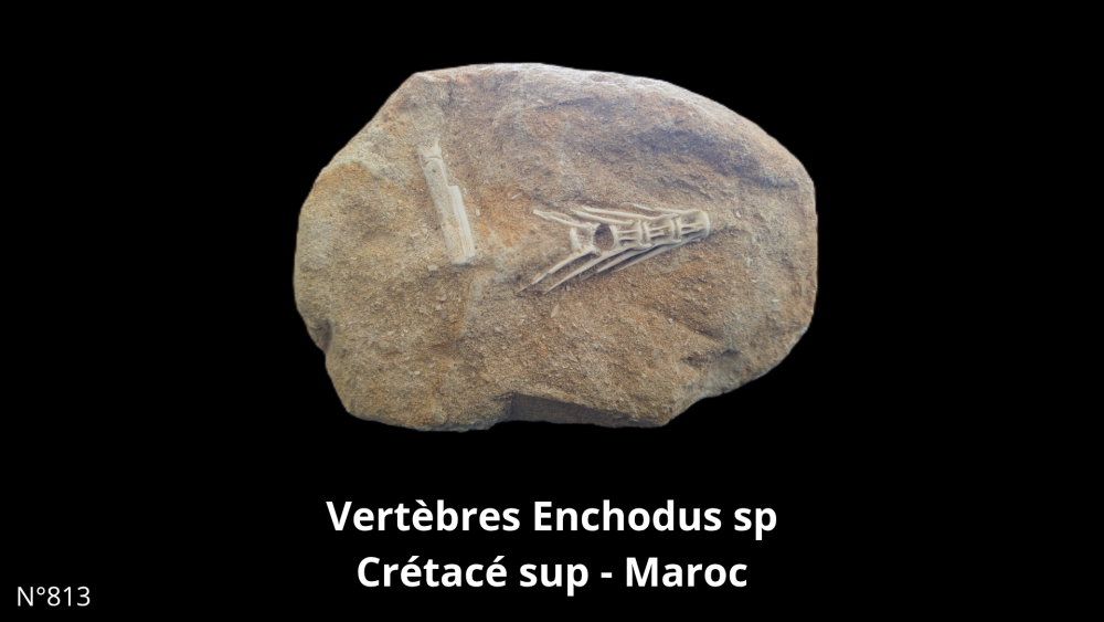 Boite col CN6_20250812_212132_0004.png