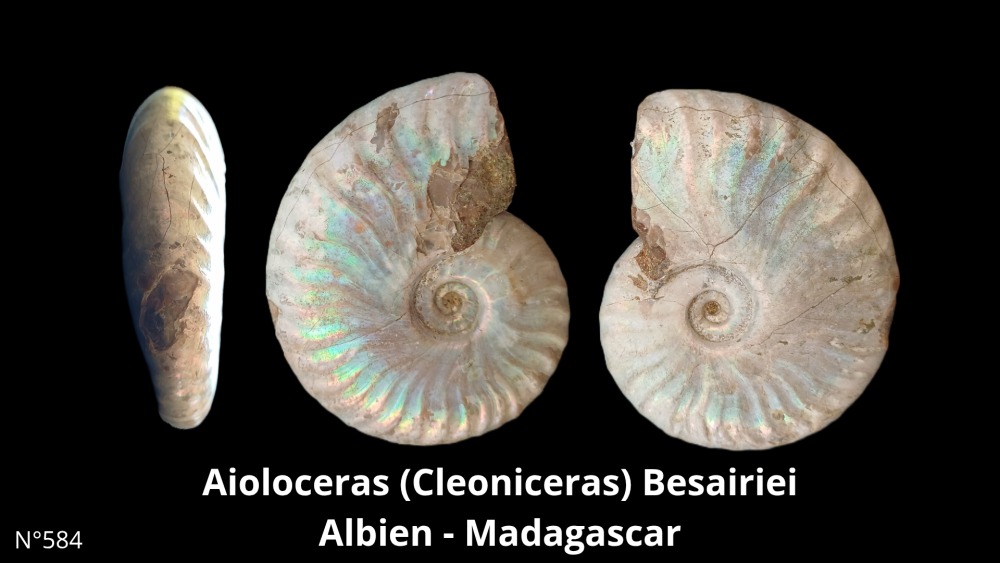 Boite col CN6_20250812_212132_0005.png