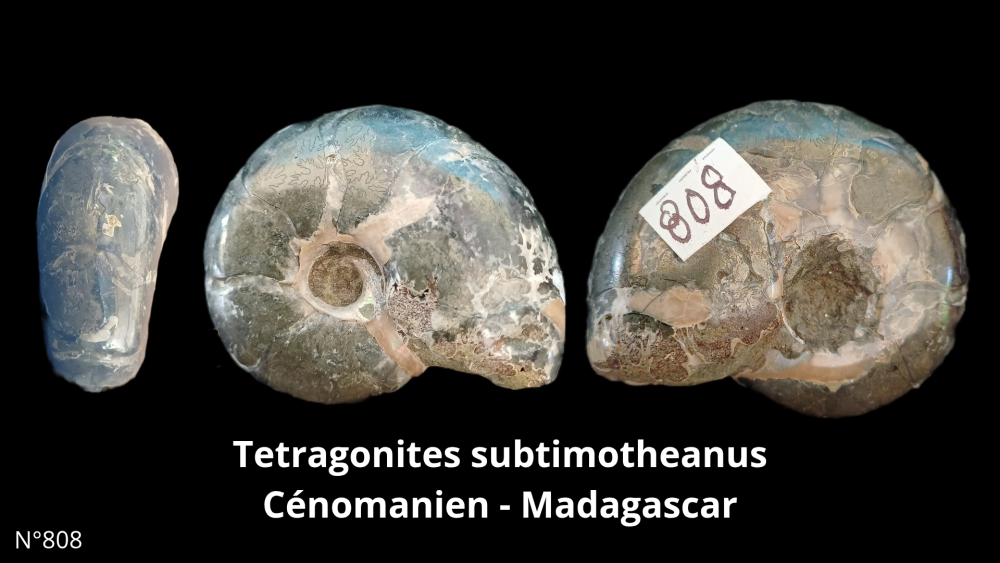 Boite col CN6_20250812_212132_0007.png