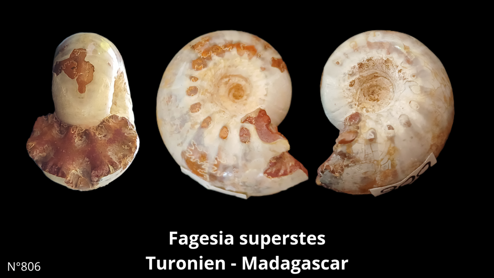 Boite col CN6_20250812_212132_0008.png