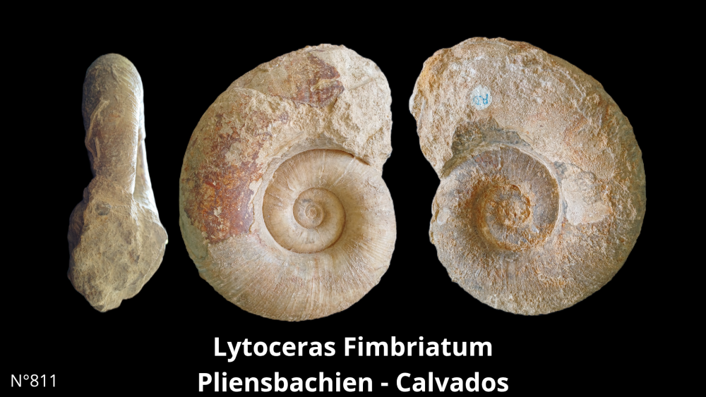 Boite col CN6_20250812_212133_0010.png