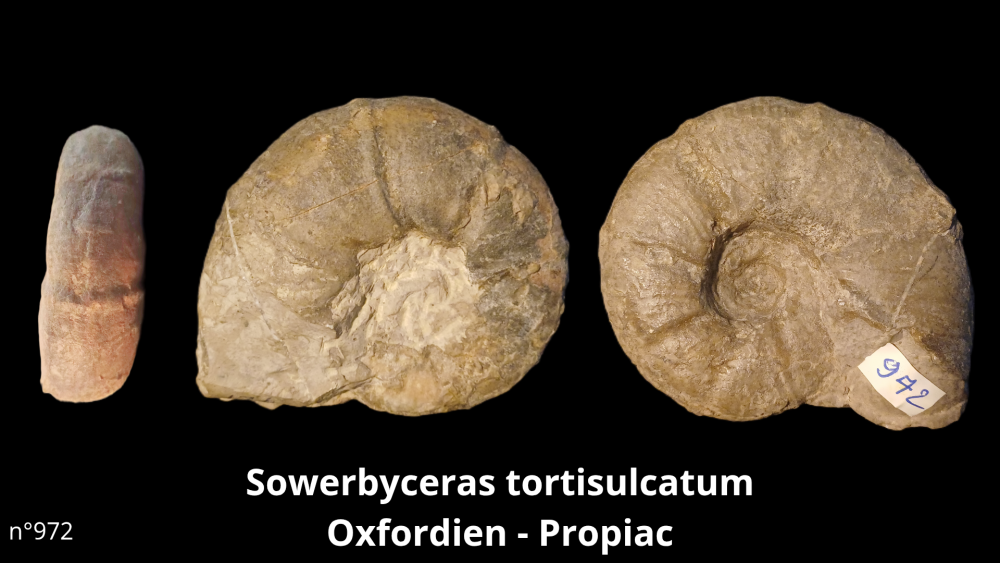 Boite collection 010_20250812_222938_0002.png