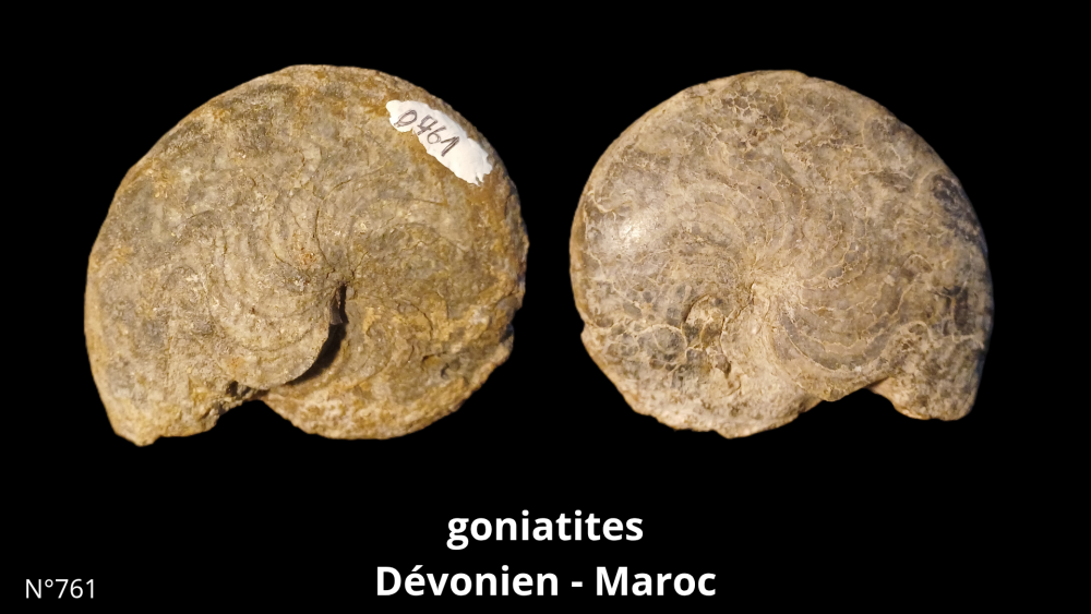 Boite collection 010_20250812_222938_0005.png