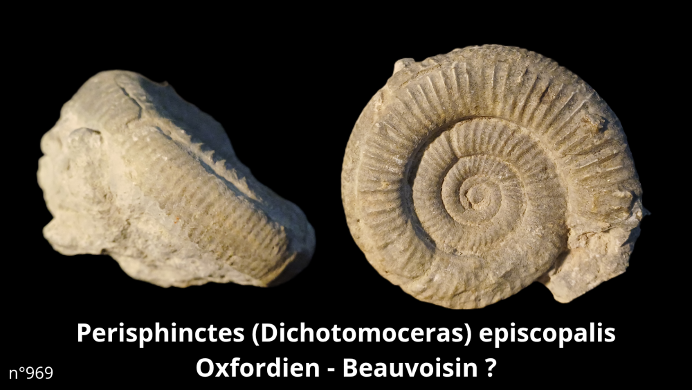 Boite collection 010_20250812_222939_0006.png