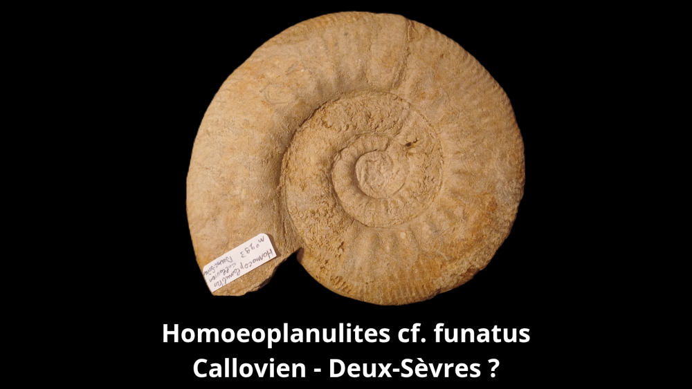 Boite collection 010_20250812_222939_0007.png