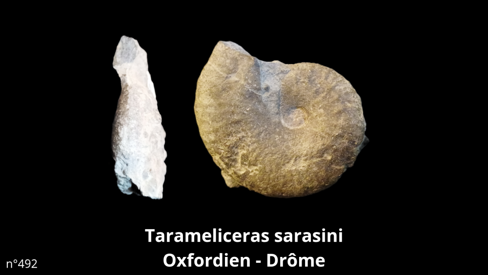 Boite collection 041_20250812_221210_0000.png