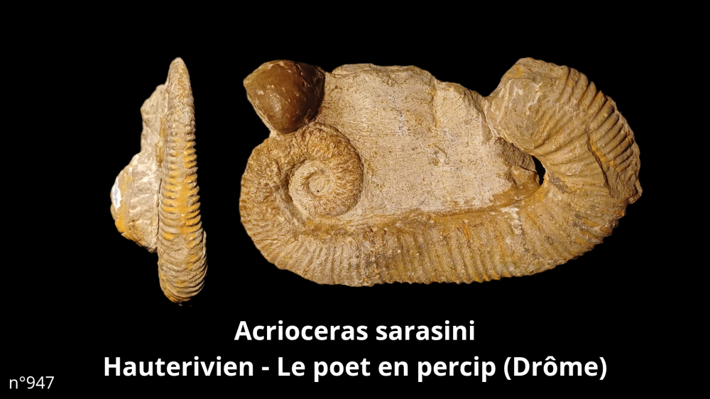 Boite collection 041_20250812_221211_0003.png