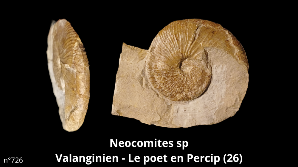 Boite collection 041_20250812_221211_0004.png