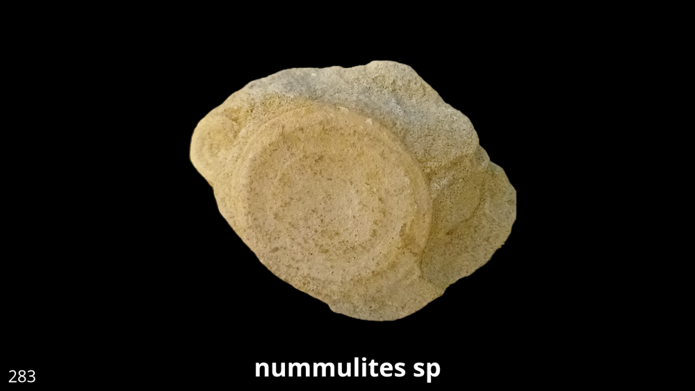 Boite collection 081_20250812_223231_0001.png