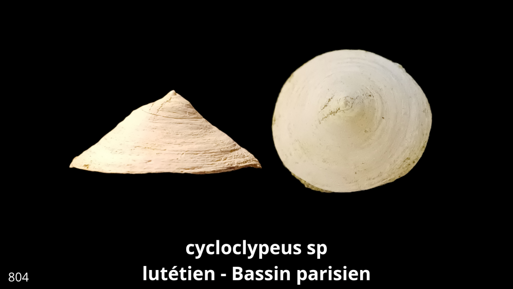 Boite collection 081_20250812_223231_0002.png