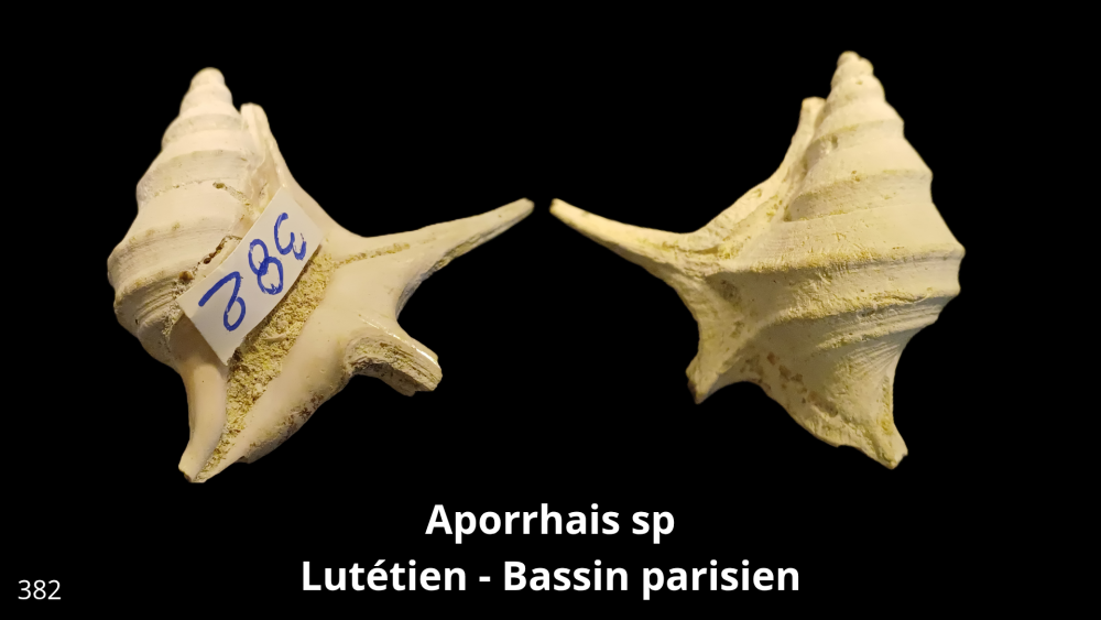 Boite collection 081_20250812_223231_0004.png