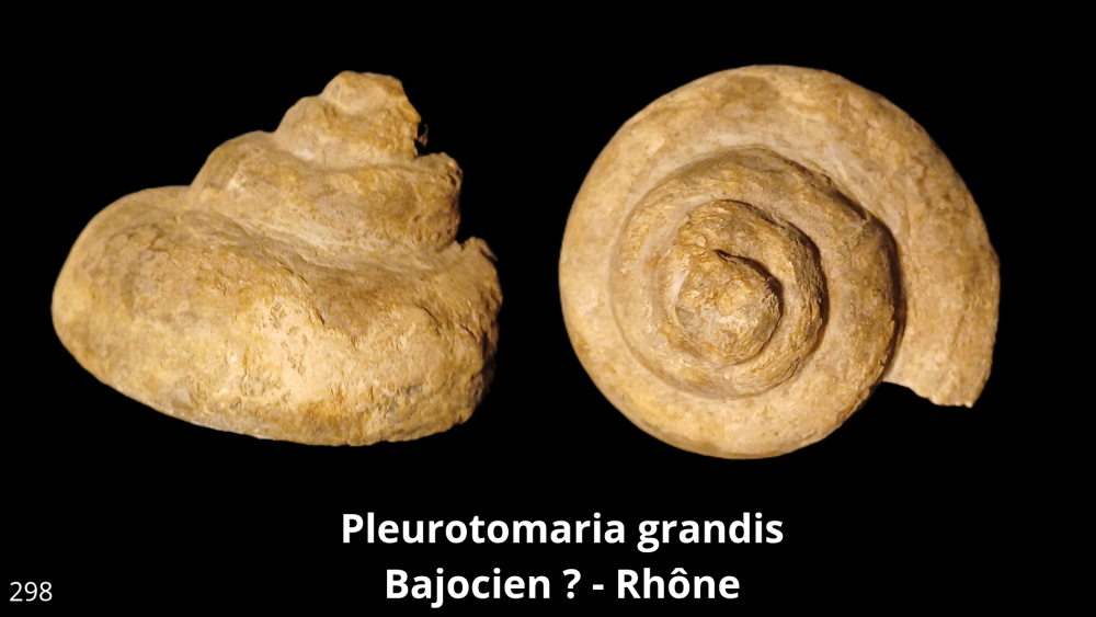 Boite collection 081_20250812_223232_0008.png