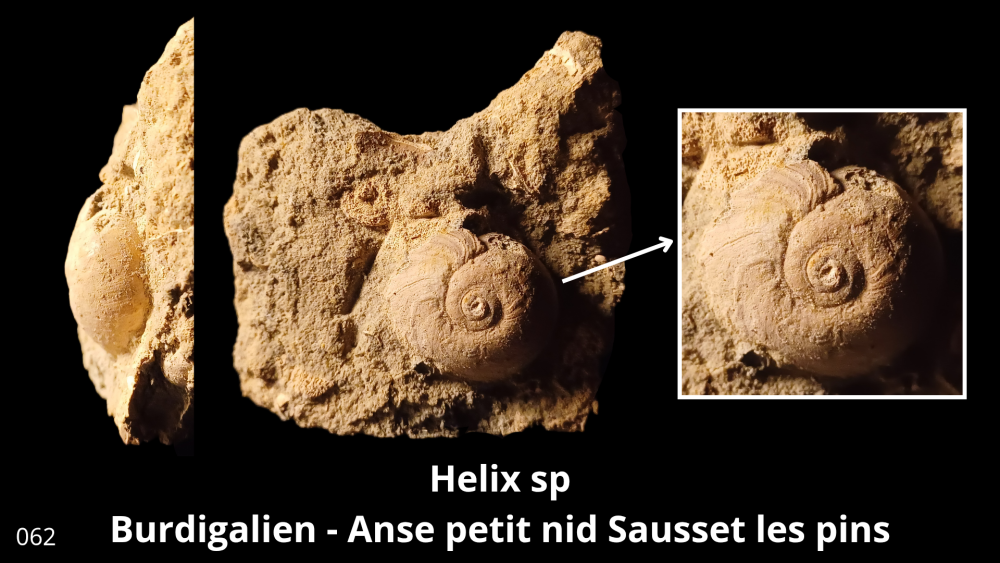 Boite collection 081_20250812_223232_0009.png