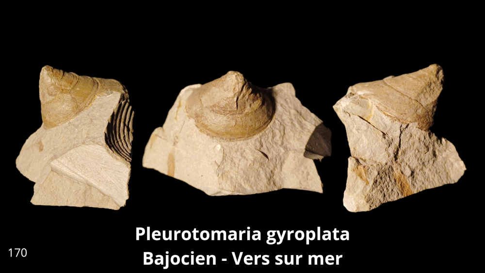 Boite collection 081_20250812_223232_0010.png