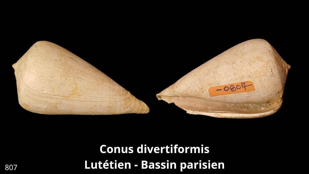 Boite collection 081_20250812_223233_0012.png