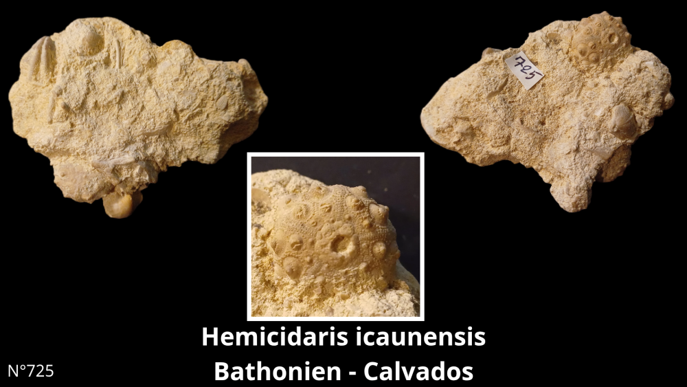 Boite collection CN4_20250812_211506_0000.png