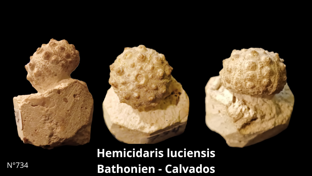 Boite collection CN4_20250812_211506_0001.png