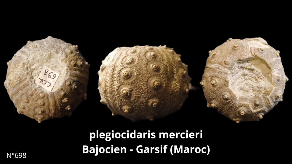 Boite collection CN4_20250812_211507_0004.png