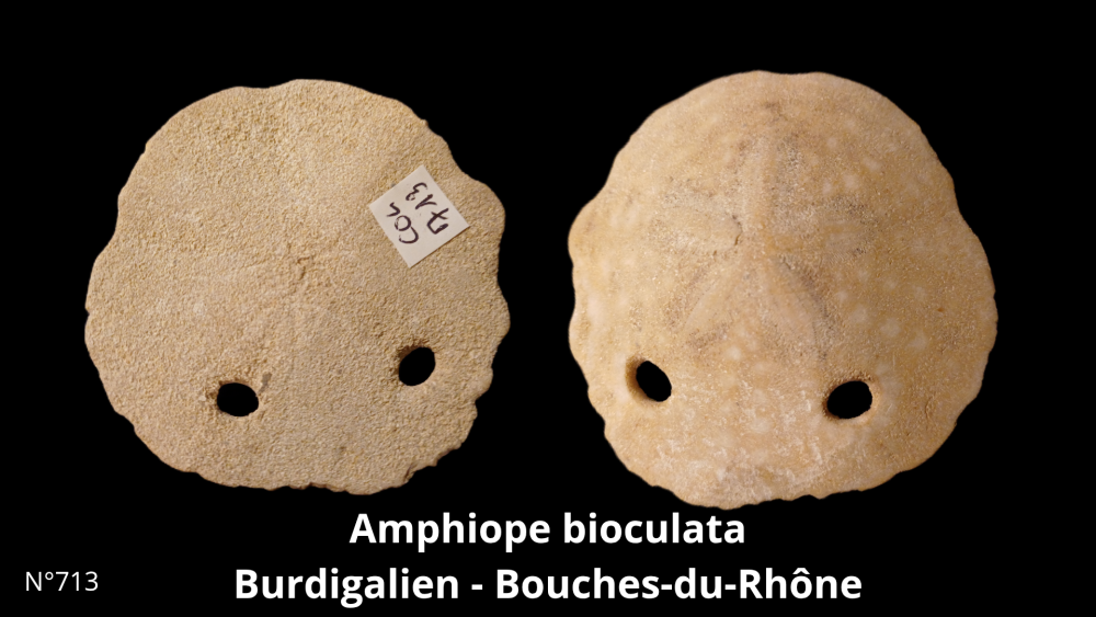 Boite collection CN4_20250812_211507_0005.png