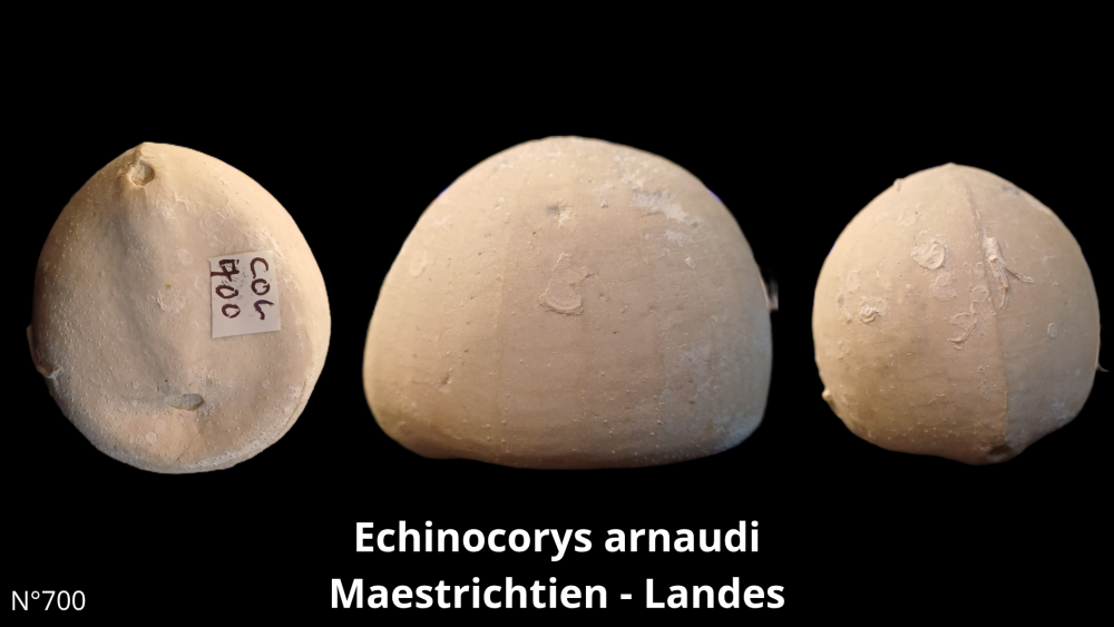 Boite collection CN4_20250812_211508_0007.png