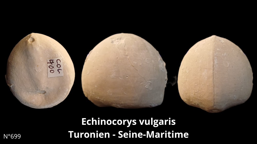 Boite collection CN4_20250812_211508_0008.png