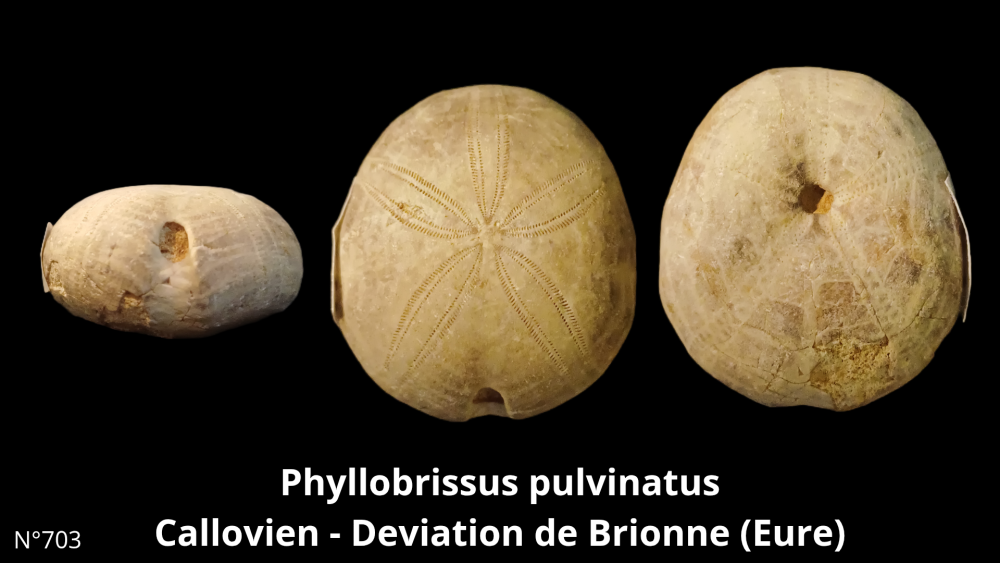 Boite collection CN4_20250812_211508_0009.png