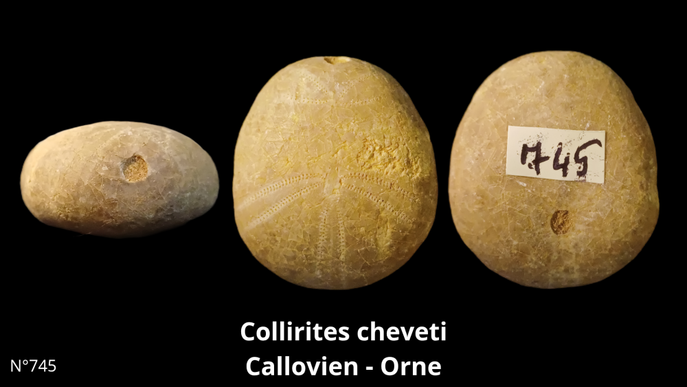 Boite collection CN4_20250812_211508_0010.png