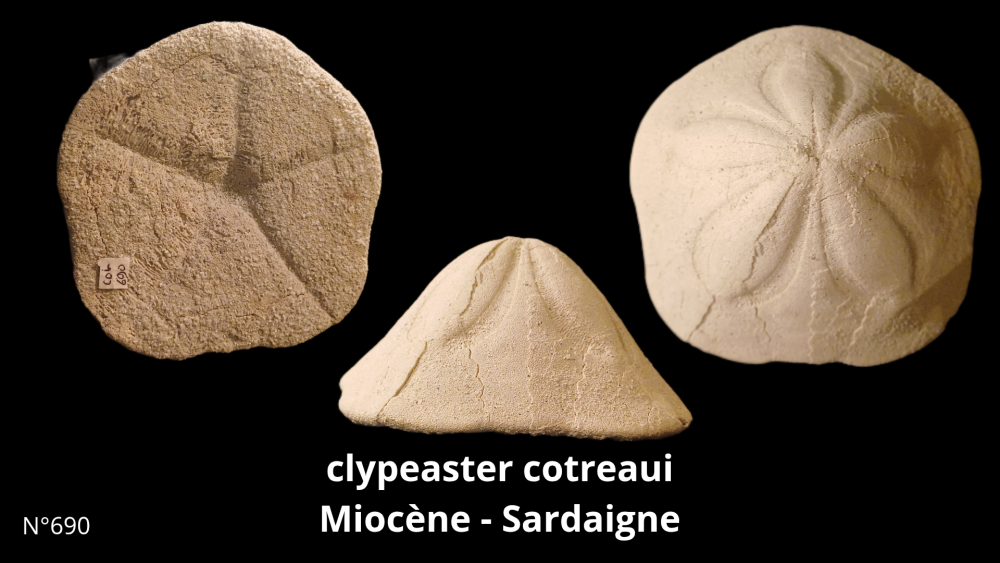 Boite collection CN4_20250812_211508_0014.png