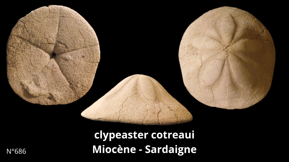 Boite collection CN4_20250812_211508_0015.png