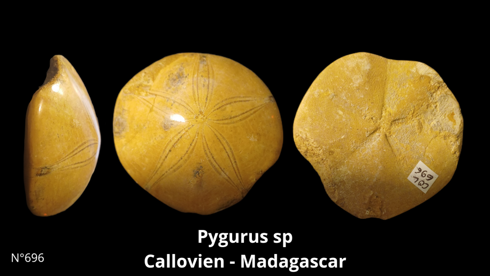 Boite collection CN4_20250812_211508_0016.png